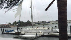 Read more about the article Chapter 21:  History!