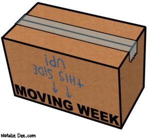 Read more about the article Chapter 38:  MOVING WEEK! (metaphorically , of course)-Part I
