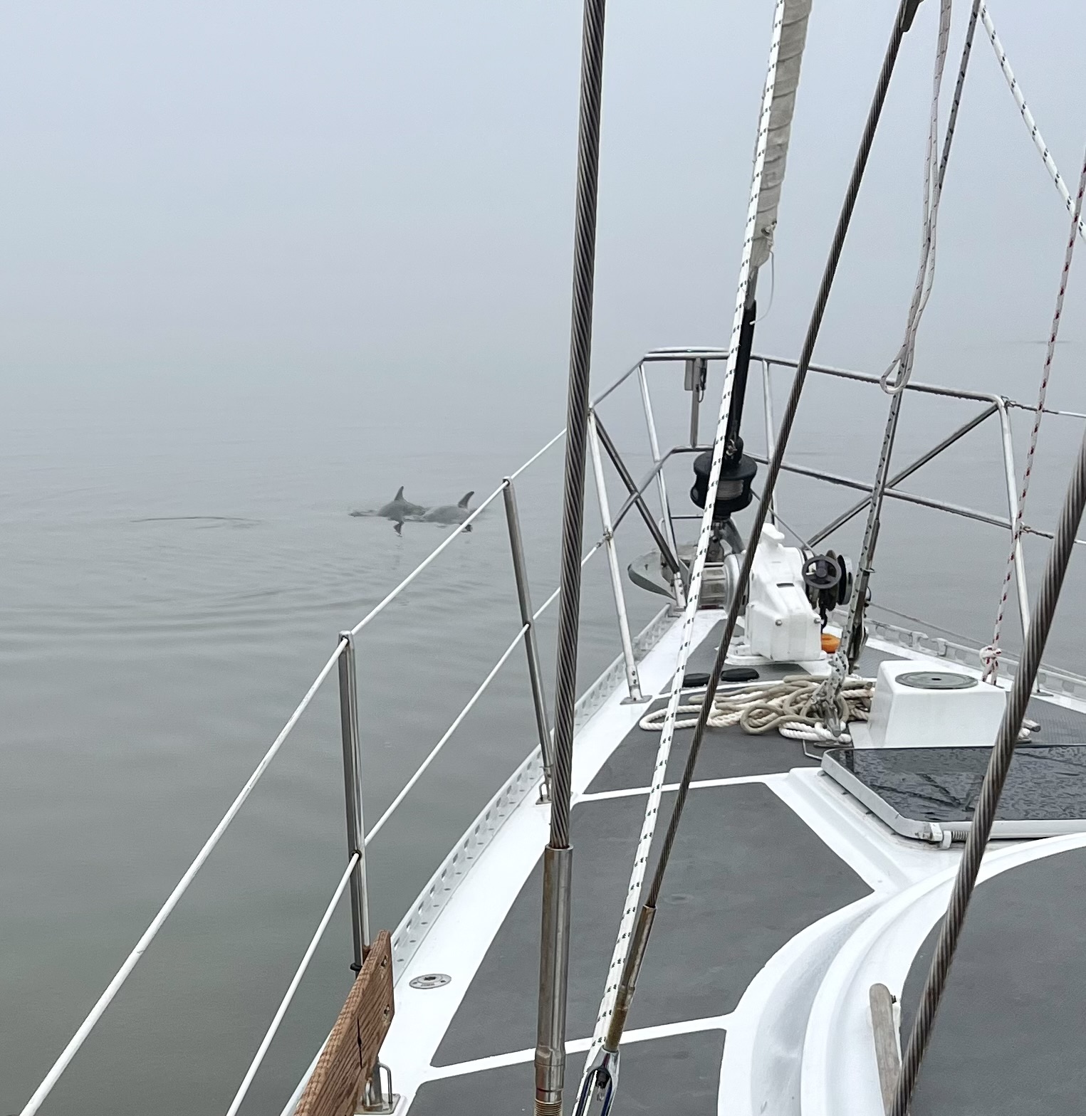 Read more about the article Chapter 60:  Cruising the ICW and Delays…