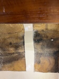 Read more about the article Chapter 71:  What’s That Smell??!!