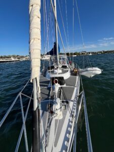 Read more about the article Chapter 80:  Boat Tour!  Part I