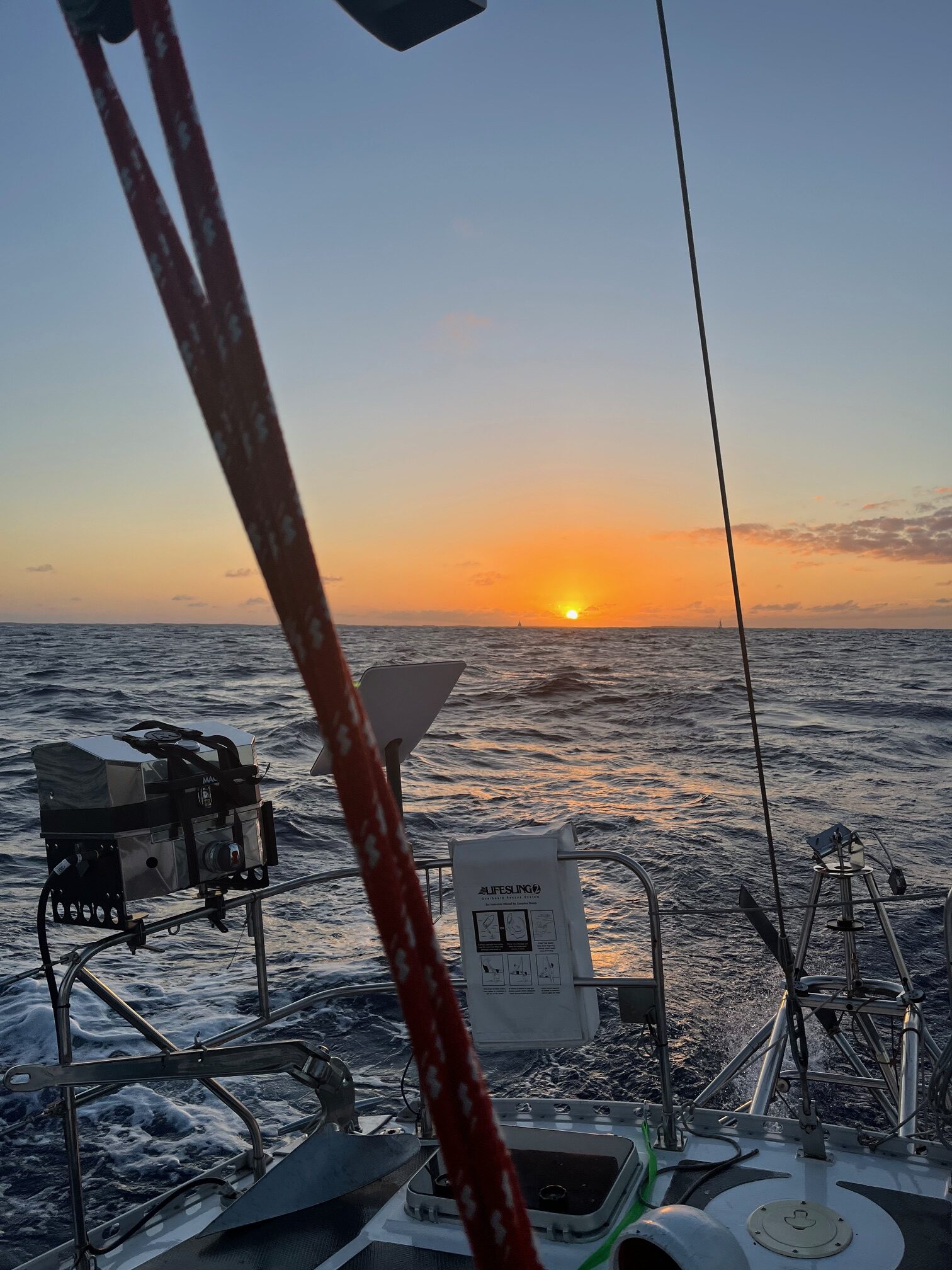 Read more about the article Chapter 89:  Learning…Always Learning