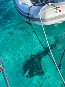 Read more about the article Chapter 86:  Boat Tour!!  Part II