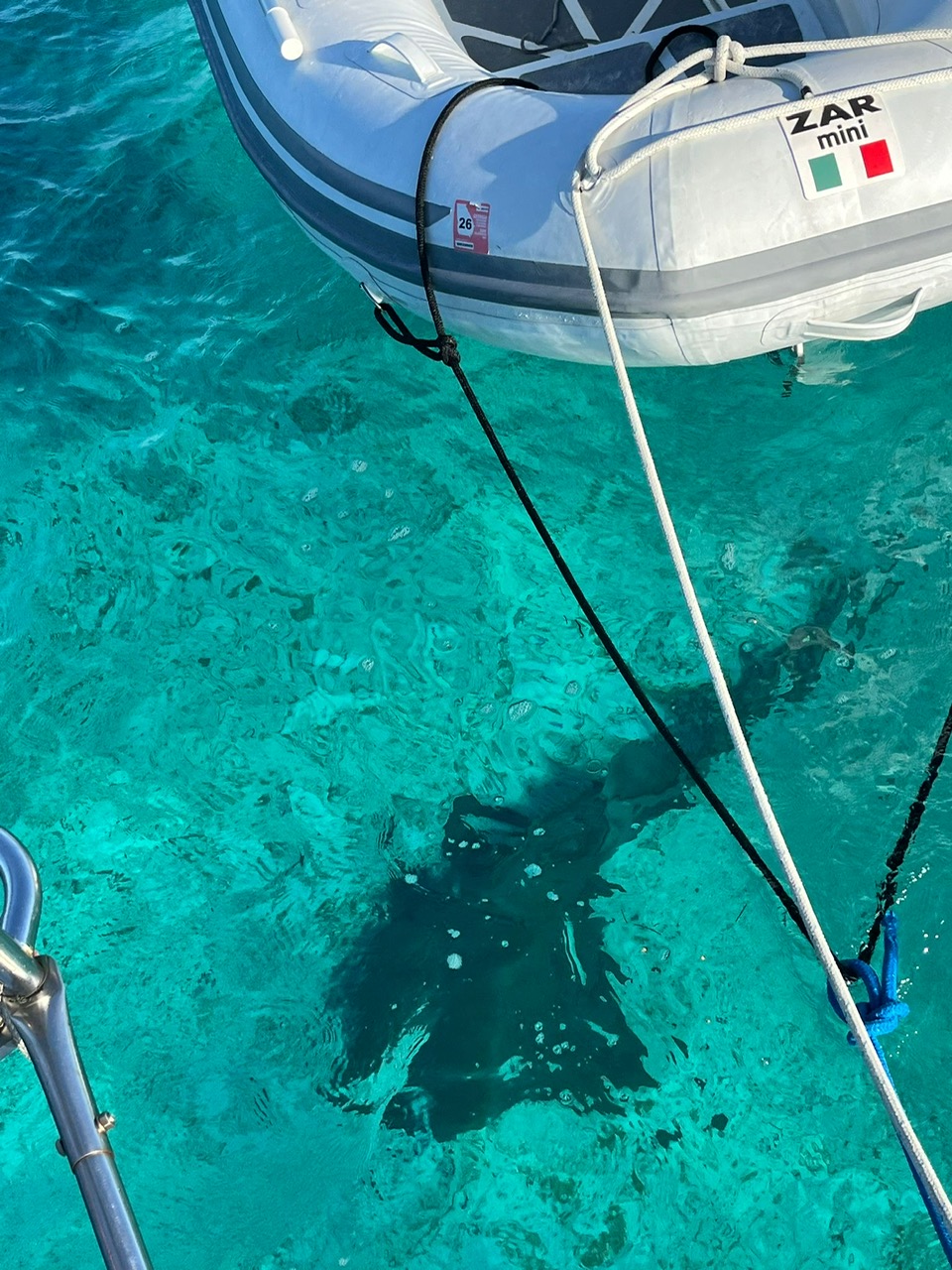 Read more about the article Chapter 86:  Boat Tour!!  Part II