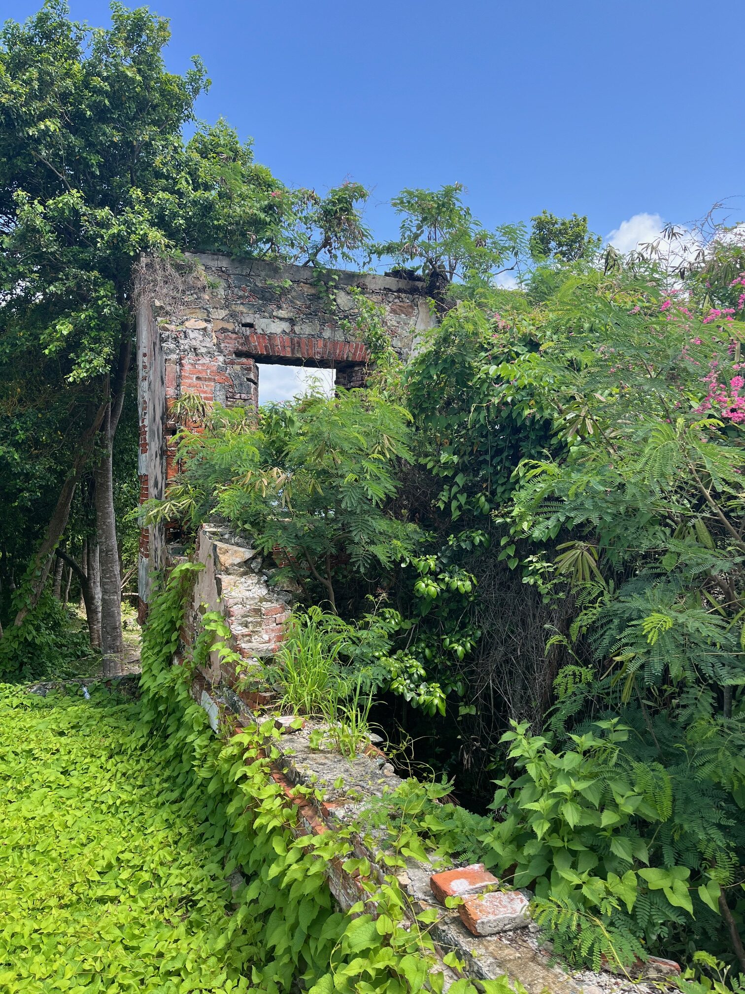 Read more about the article Chapter 100:  We Love It!