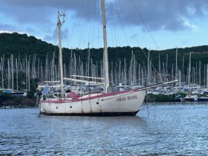 Read more about the article Chapter 127:  The One Where We’re a Speedboat