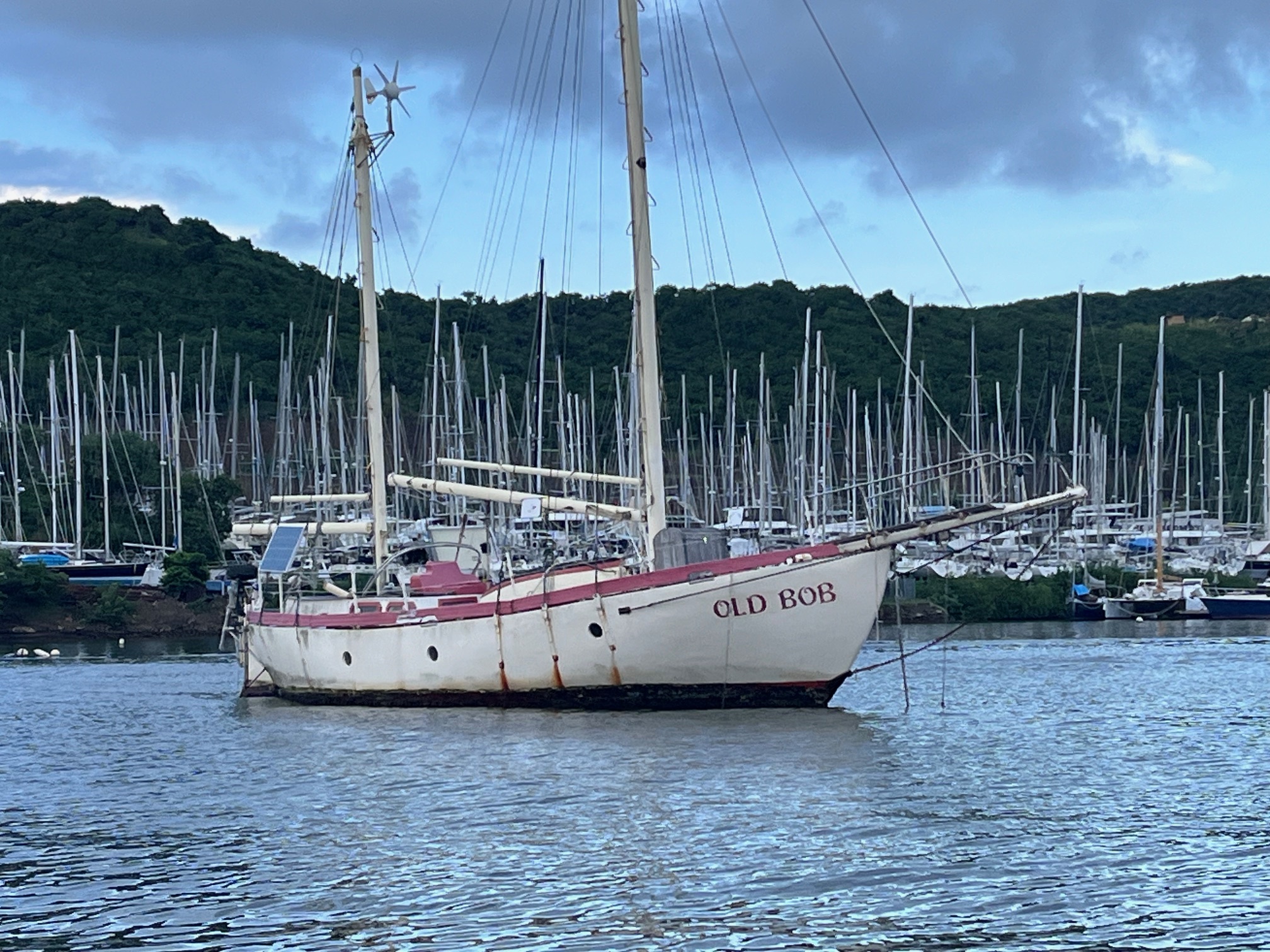 Read more about the article Chapter 127:  The One Where We’re a Speedboat