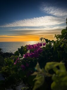 Read more about the article Chapter 137:  That’s a Wrap!