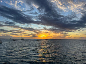 Read more about the article Chapter 147: Reflections at Sea