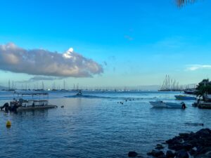 Read more about the article Chapter 156:  Boatwork in Exotic Tahiti