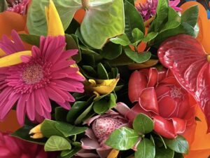 Read more about the article Chapter 157:  Still waiting, the plank of doom, and mooring mishaps…