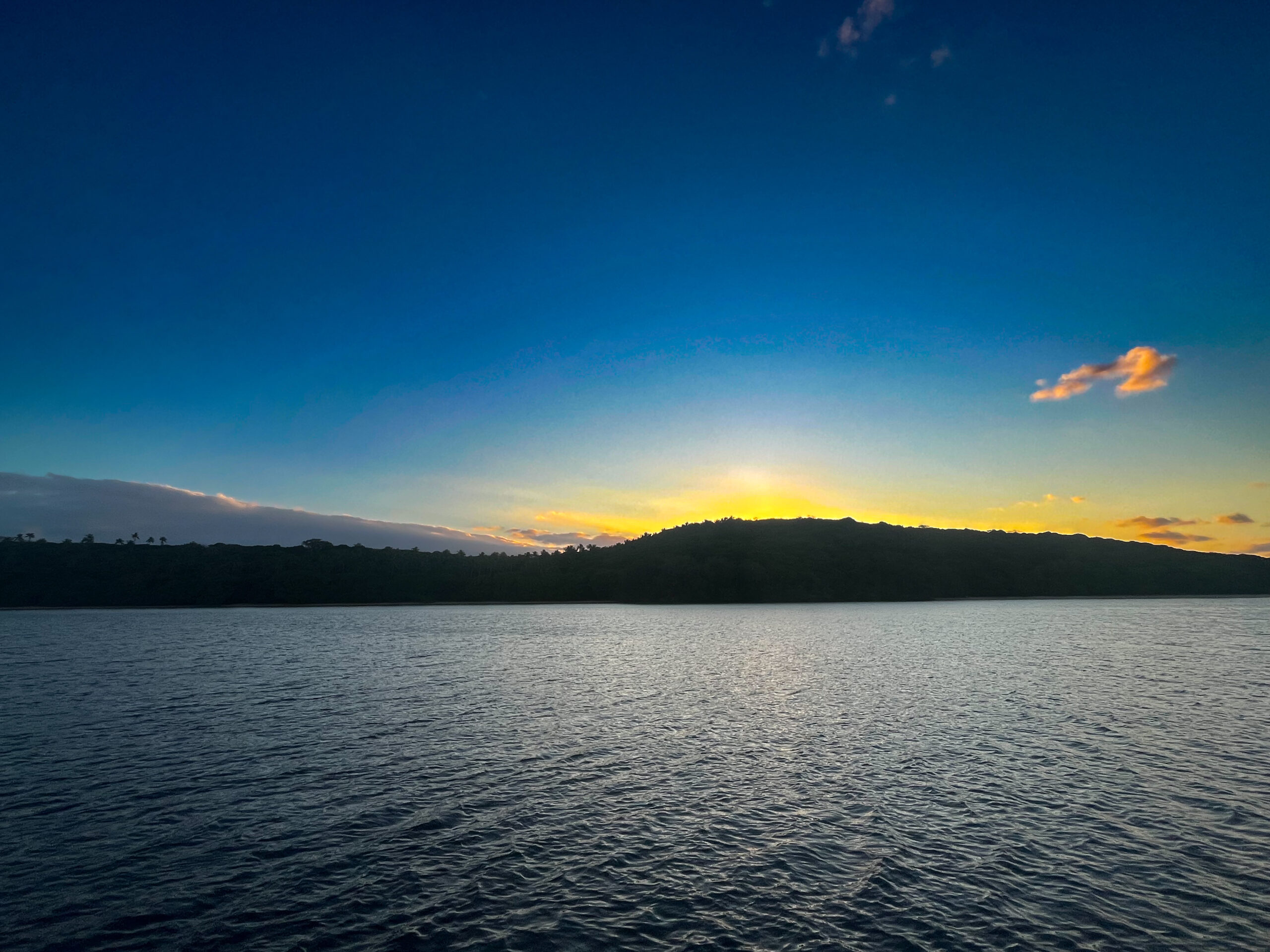 Read more about the article Chapter 165:  The One With the Tsunami