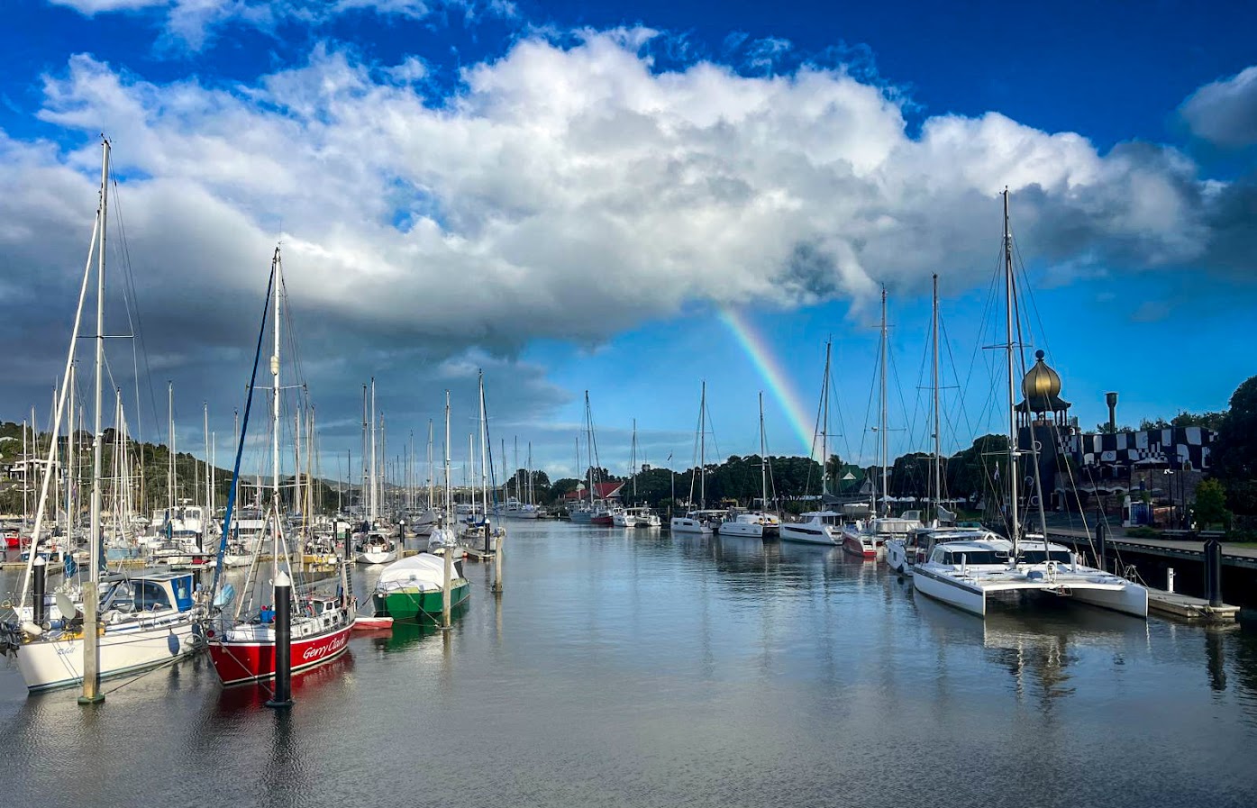 You are currently viewing Chapter 183:  Back in Aotearoa, The Land of the Long White Cloud